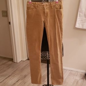 Banana Republic Pants